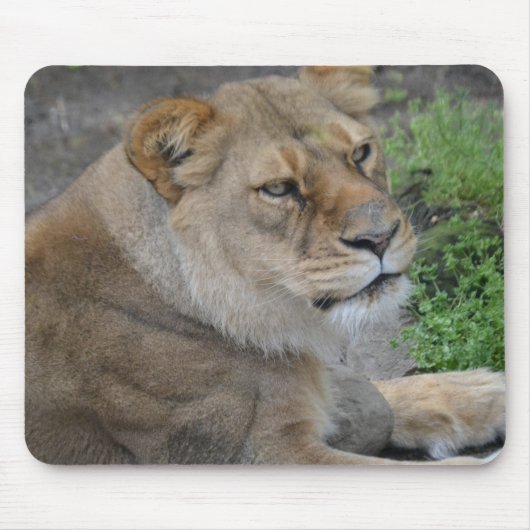 Lion Muismat (Voorkant)