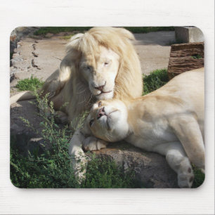 Lion Muismat