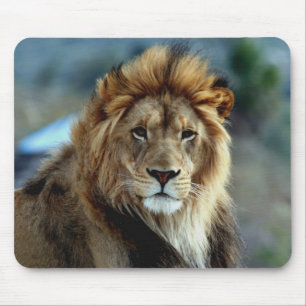 Lion Muismat