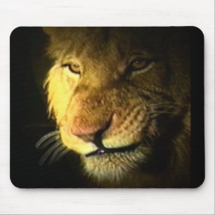 Lion Muismat