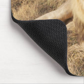 Lion-Muismat Muismat (Hoek)