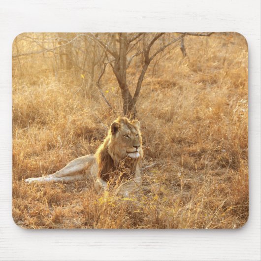 Lion-Muismat Muismat (Voorkant)