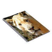 Lion Notitieboek (Rechterzijde)