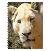 Lion Notitieboek (Voorkant)