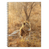 Lion Notitieboek (Voorkant)