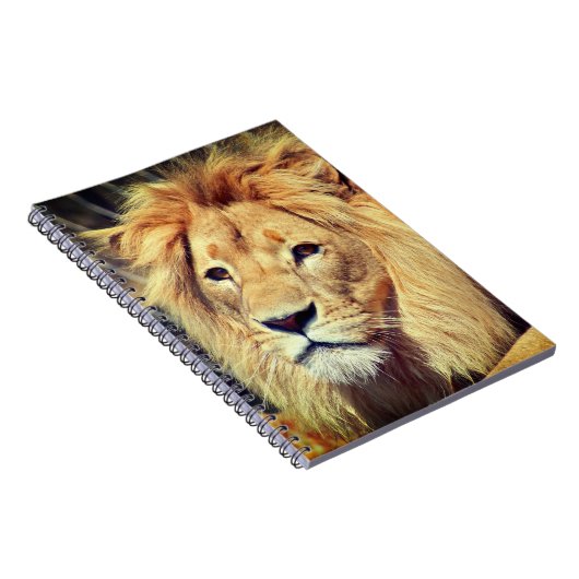 Lion Notitieboek (Rechterzijde)