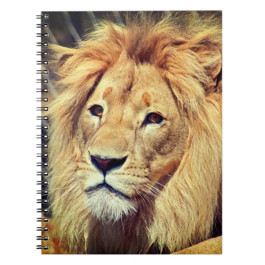 Lion Notitieboek (Voorkant)