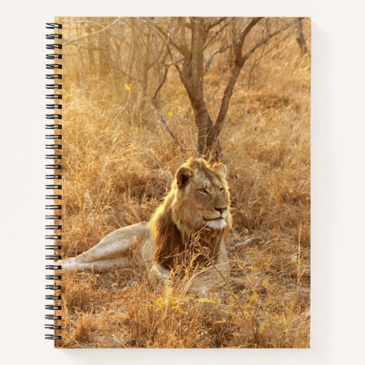 Lion Notitieboek (Voorkant)