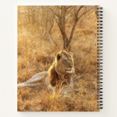 Lion Notitieboek (Achterkant)
