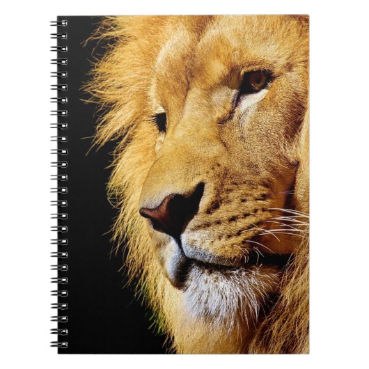 Lion Notitieboek (Voorkant)