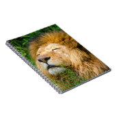 Lion Notitieboek (Rechterzijde)