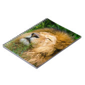 Lion Notitieboek (Linkerzijde)