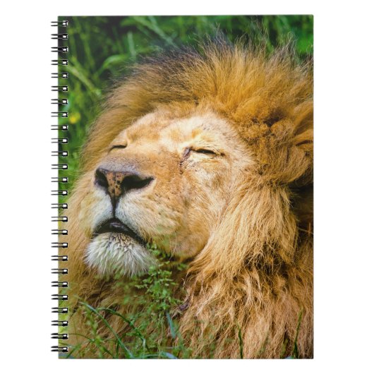 Lion Notitieboek (Voorkant)