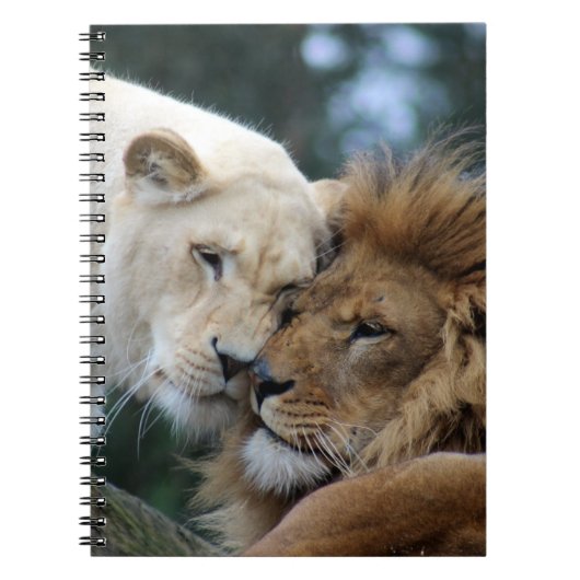 Lion Notitieboek (Voorkant)