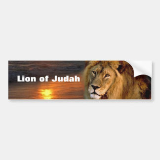 Lion of Judah Collectie Bumpersticker