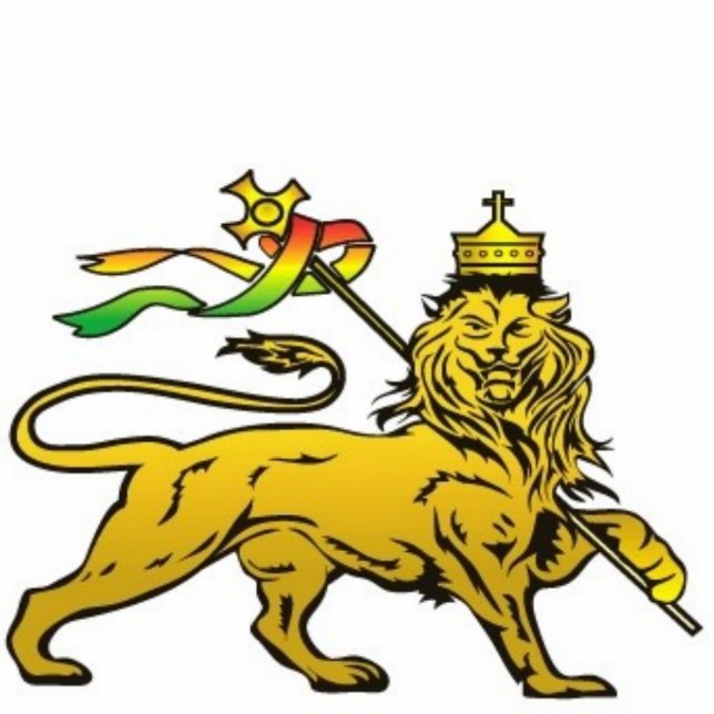 Lion of Judah Fotobeeldje Magneet (Voorkant)