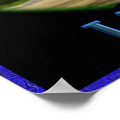 Lion of Judah Posters (Hoek)