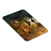 Lion of Judah - Rastafara - Reggae Rasta Magnet Magneet (Rechterzijde)