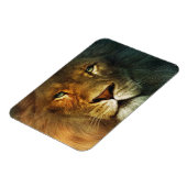 Lion of Judah - Rastafara - Reggae Rasta Magnet Magneet (Linkerzijde)