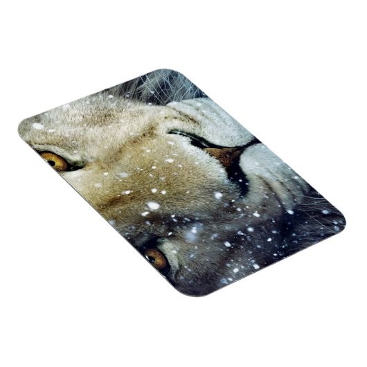 Lion of Judah - Rastafara - Reggae Rasta Magnet Magneet (Rechterzijde)