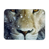 Lion of Judah - Rastafara - Reggae Rasta Magnet Magneet (Horizontaal)