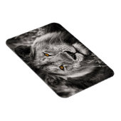 Lion of Judah - Rastafara - Reggae Rasta Magnet Magneet (Rechterzijde)