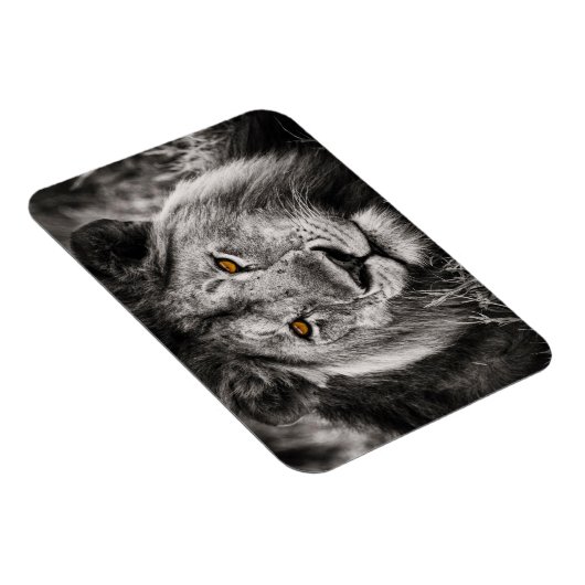 Lion of Judah - Rastafara - Reggae Rasta Magnet Magneet (Rechterzijde)