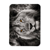 Lion of Judah - Rastafara - Reggae Rasta Magnet Magneet (Verticaal)