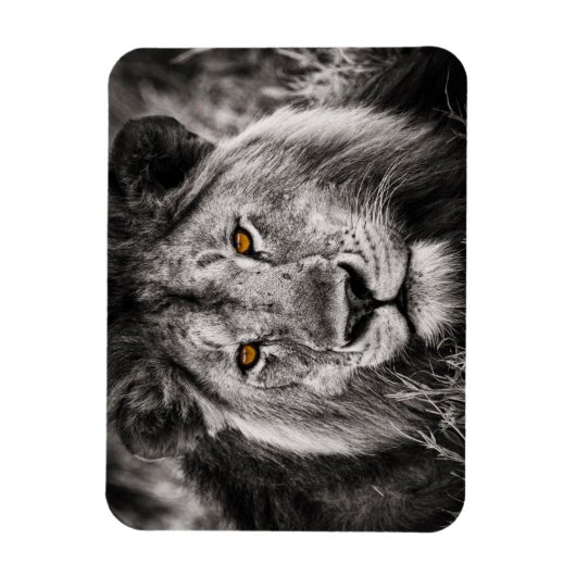 Lion of Judah - Rastafara - Reggae Rasta Magnet Magneet (Verticaal)