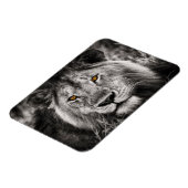 Lion of Judah - Rastafara - Reggae Rasta Magnet Magneet (Linkerzijde)