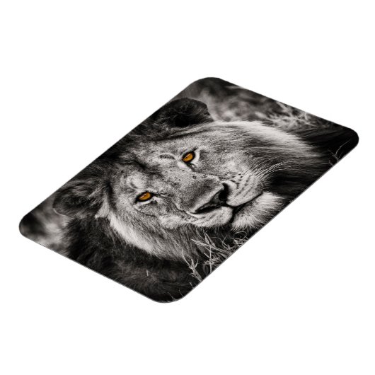 Lion of Judah - Rastafara - Reggae Rasta Magnet Magneet (Linkerzijde)