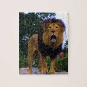 Lion on a Rock Legpuzzel