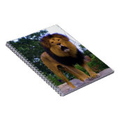 Lion on a Rock Notitieboek (Rechterzijde)