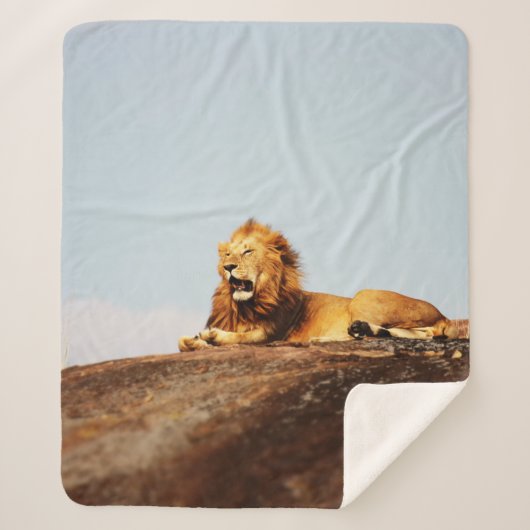 LION ON GROUND DURING DAYTIME SHERPA DEKEN (Voorkant)