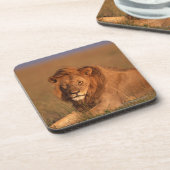 Lion Onderzetter (Linkerzijde)