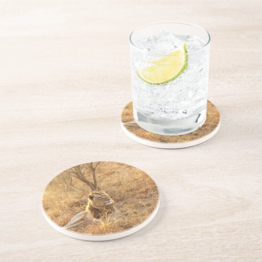 Lion Onderzetter (Zijkant)