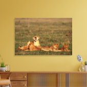 Lion op een savanne canvas afdruk (Insitu (Woonkamer))
