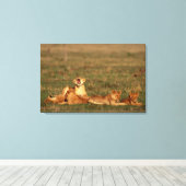 Lion op een savanne canvas afdruk (Insitu (Houten vloer))