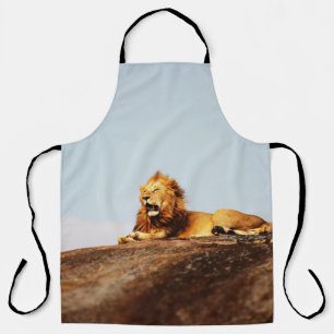 LION OP GROND TIJDENS DE DAG SCHORT