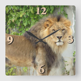 Lion op Maasai Mara 2 Vierkante Klok
