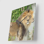 Lion op Maasai Mara 2 Vierkante Klok (Hoek)