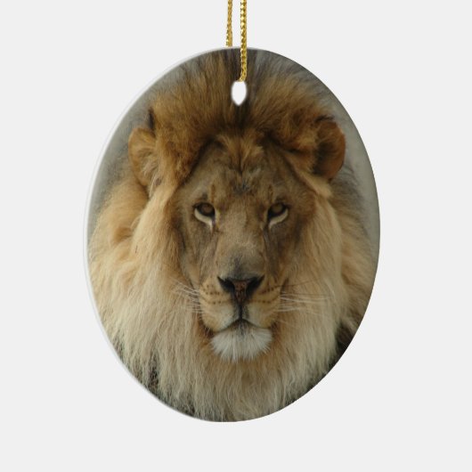 LION ORNAMENT (Rechts)