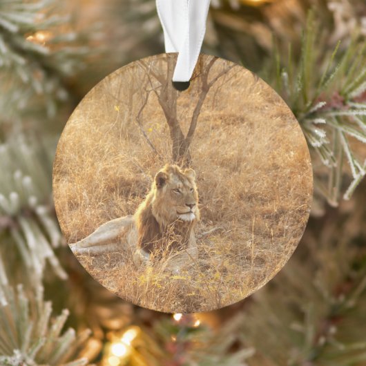 Lion Ornament (Boom)