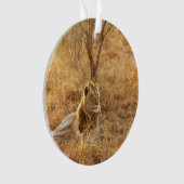 Lion Ornament (voorkant)