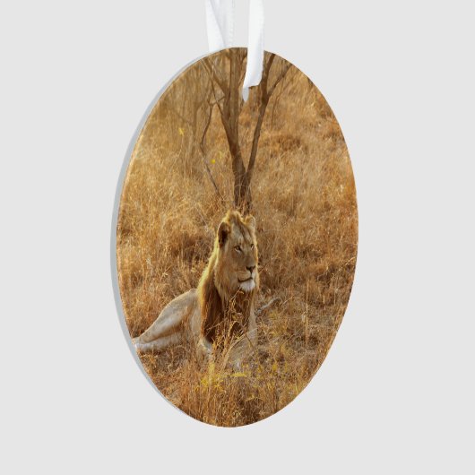 Lion Ornament (voorkant)