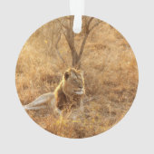 Lion Ornament (achterkant)