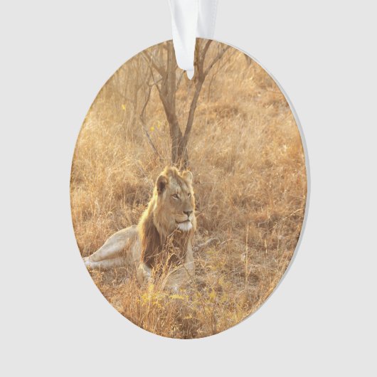 Lion Ornament (voorkant)