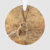 Lion Ornament (voorkant)