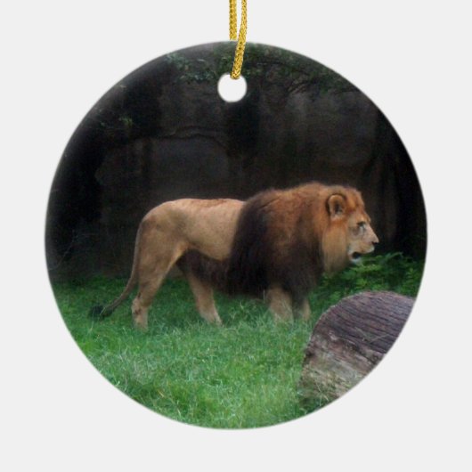Lion Ornament ~ Endangered Species Series (Voorkant)