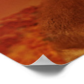 Lion Pair-Posters Poster (Hoek)